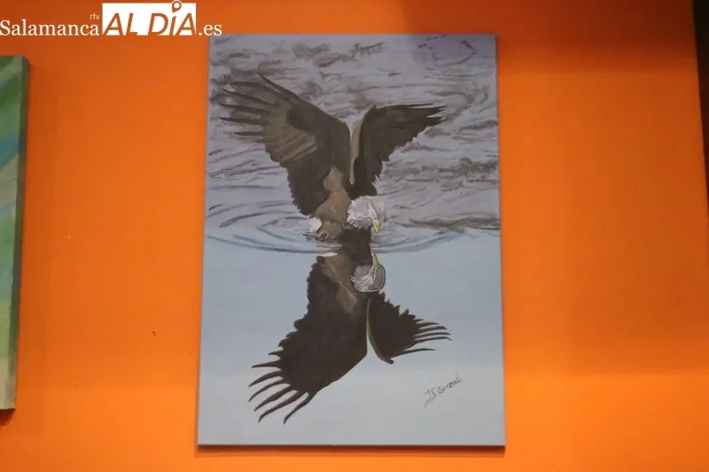 Exposición de Joaquín Sánchez Gonzalo en el Café-Bar El Retiro de Vitigudino / CORRAL  