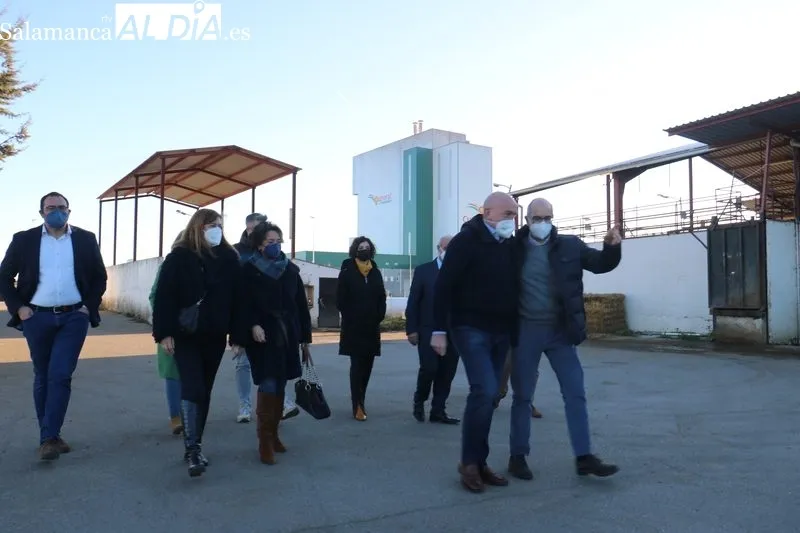 Visita del consejero de Agricultura y Ganadería a Vitigudino / CORRAL 