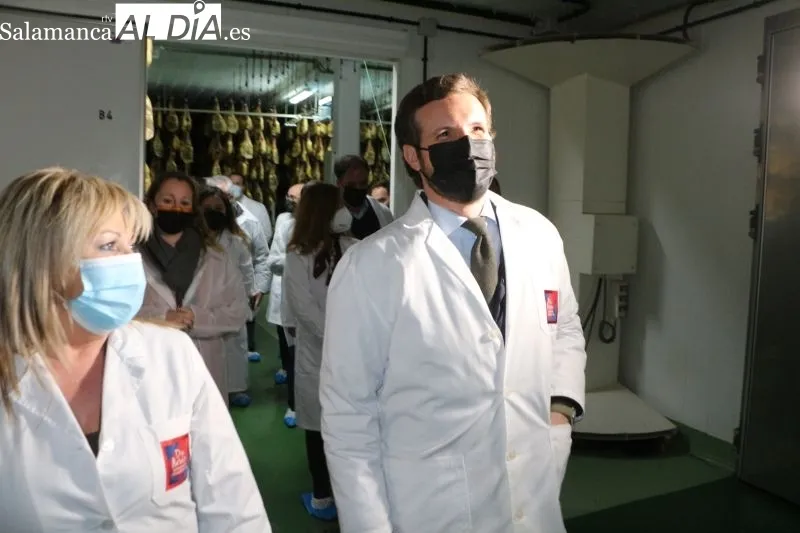 Visita de Pablo Casado, líder del Partido Popular, a una fábrica de jamones y embutidos en Guijuelo - Kiko Robles