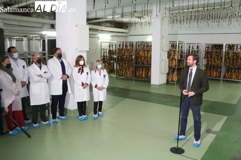 Visita de Pablo Casado, líder del Partido Popular, a una fábrica de jamones y embutidos en Guijuelo - Kiko Robles