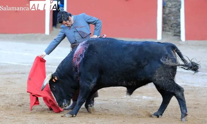 Triunfal faena de Morante de la Puebla en Valero - Fotos: Miguel Hernández