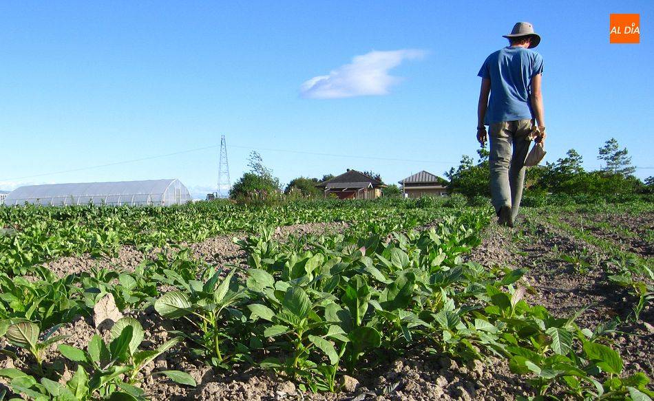 Los agricultores jóvenes ya pueden solicitar las nuevas ayudas de la Junta dotadas con 1,2 millones de euros