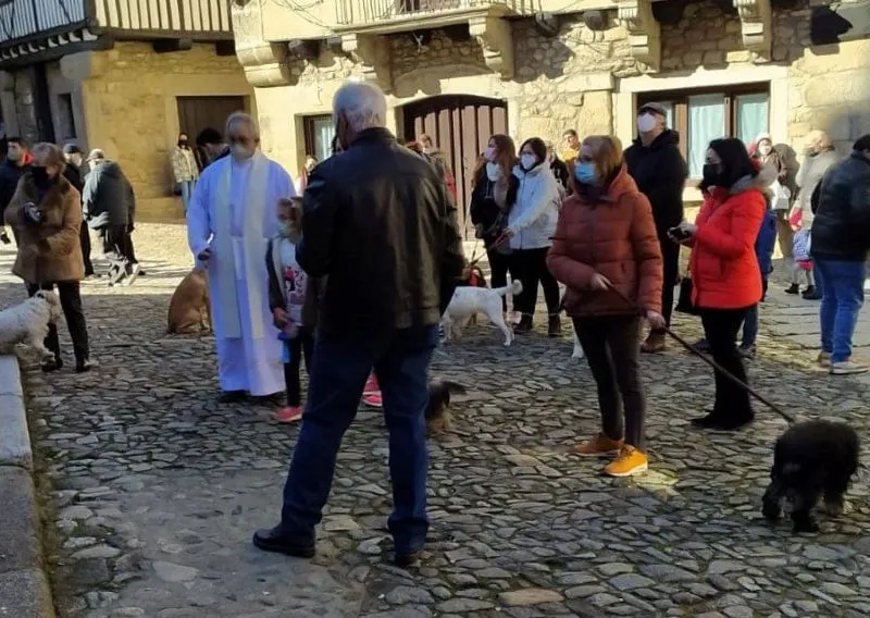 Foto 3 - La Alberca rifa un a&ntilde;o m&aacute;s el marrano de San Ant&oacute;n