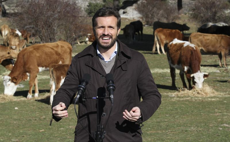 El presidente del PP, Pablo Casado, ofrece declaraciones a los medios, durante su visita a una explotación ganadera extensiva de vacuno en Navas del Marqués, Ávila. Foto de Rafael Bastante - EP
