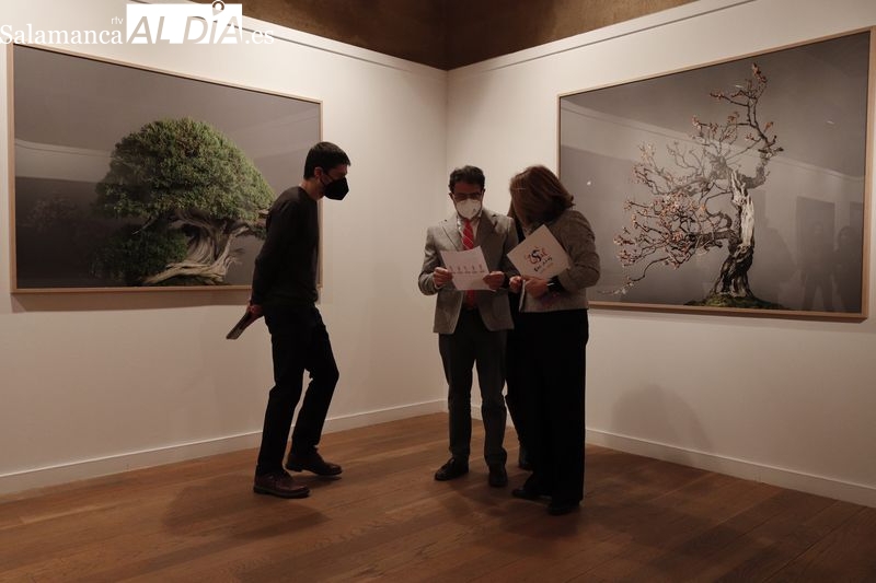Exposición “Momentum”, del fotógrafo David Romero Lomas, en el Centro Cultural Hispano-Japonés (CCHJ) de Salamanca