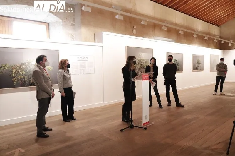 Exposición “Momentum”, del fotógrafo David Romero Lomas, en el Centro Cultural Hispano-Japonés (CCHJ) de Salamanca