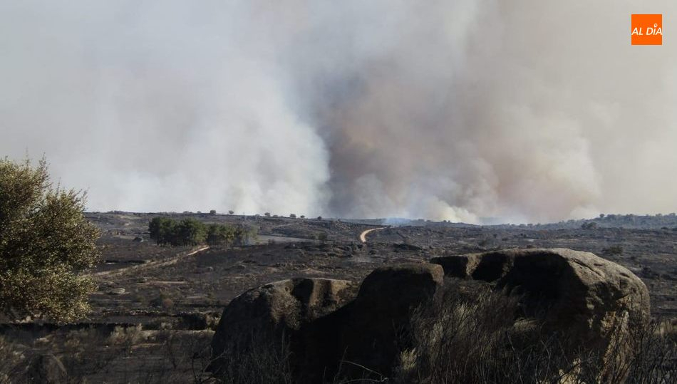El pasado mes de agosto el fuego dejaba calcinadas más de 1.700 hectáreas en San Felices de los Gallegos  