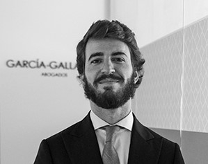Foto 1 - Juan García-Gallardo será el candidato de Vox a la Junta