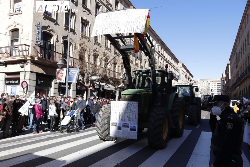 Foto 9 - Las fotos de la tractorada en Salamanca