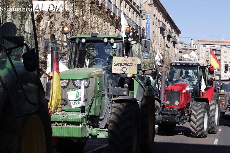 Foto 8 - Las fotos de la tractorada en Salamanca