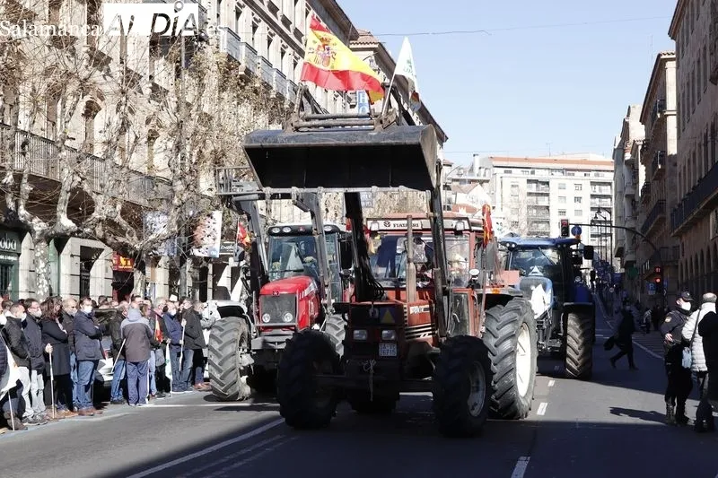 Foto 16 - Las fotos de la tractorada en Salamanca
