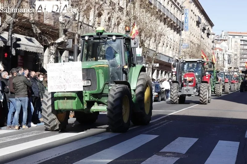 Foto 15 - Las fotos de la tractorada en Salamanca