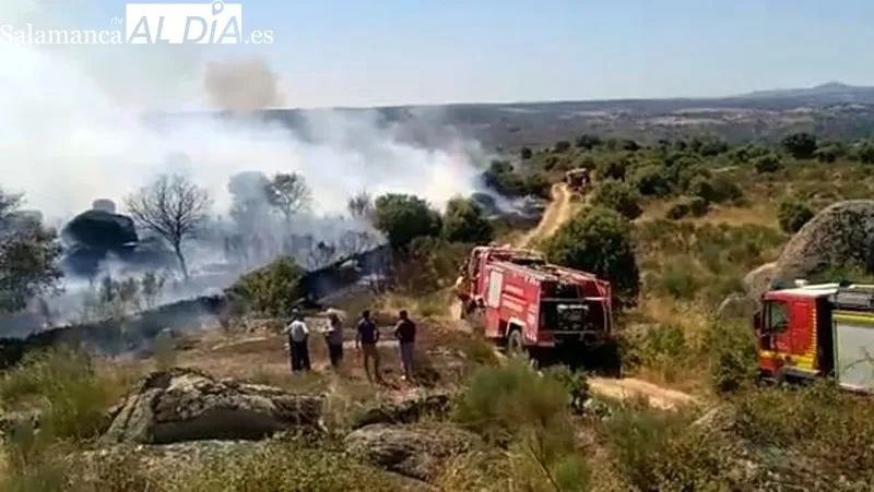 Incendio forestal en San Felices de los Gallegos