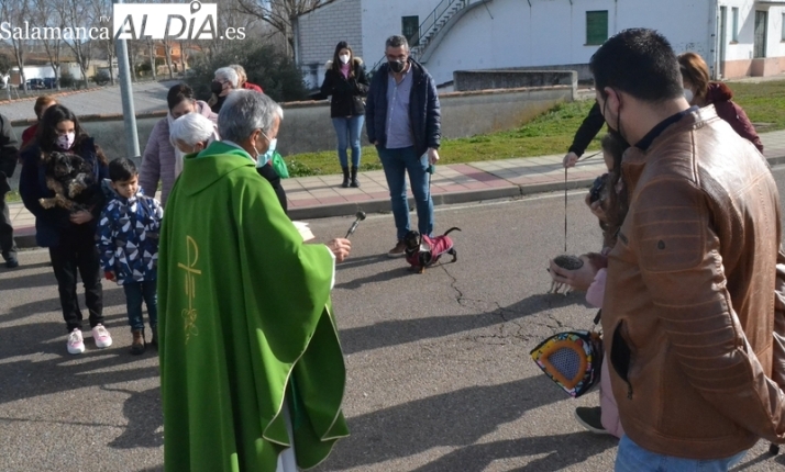 San Antón vuelve a procesionar por el Arrabal del Puente bendiciendo a cinco perros y un erizo