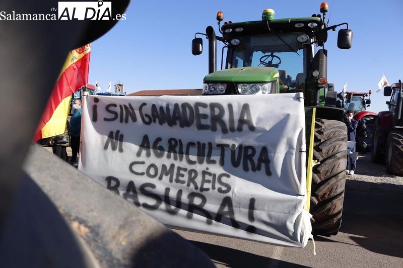 Tractorada en Salamanca para reivindicar la rentabilidad de la agricultura y la ganadería