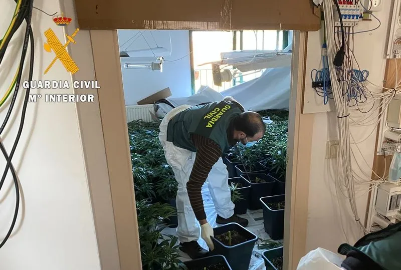 Imágenes de esta operación en Puente del Congosto, facilitadas por la Guardia Civil