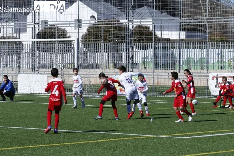 Galería de imágenes del Navega - Peñaranda de Primera Benjamín / Fotos: David Sañudo
