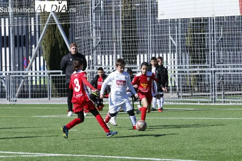 Galería de imágenes del Navega - Peñaranda de Primera Benjamín / Fotos: David Sañudo