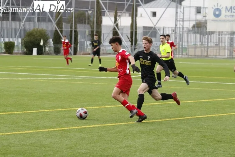 Galería de imágenes del Navega - Sur / Liga Recoletas