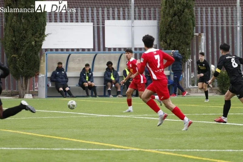 Galería de imágenes del Navega - Sur / Liga Recoletas