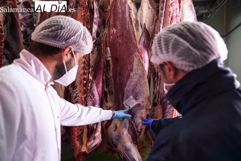 Dehesa Grande garantiza el origen de su carne a través de la trazabilidad