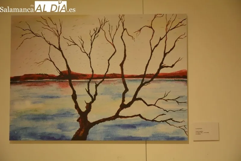 Exposición de Raquel González sobre las ilustraciones del libro ‘La luz del relámpago’ | Fotos: Vanesa Martins