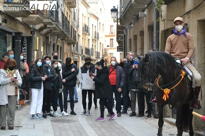 Prueba del Caballo de los Amigos del Alguacilillo