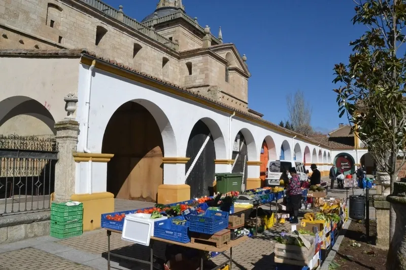 Foto 10 - El mercado de los martes luce de Carnaval mientras avanza el &lsquo;rect&aacute;ngulo m&aacute;gico&rsquo;