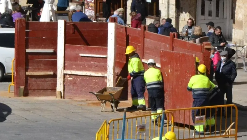 Foto 5 - El mercado de los martes luce de Carnaval mientras avanza el &lsquo;rect&aacute;ngulo m&aacute;gico&rsquo;