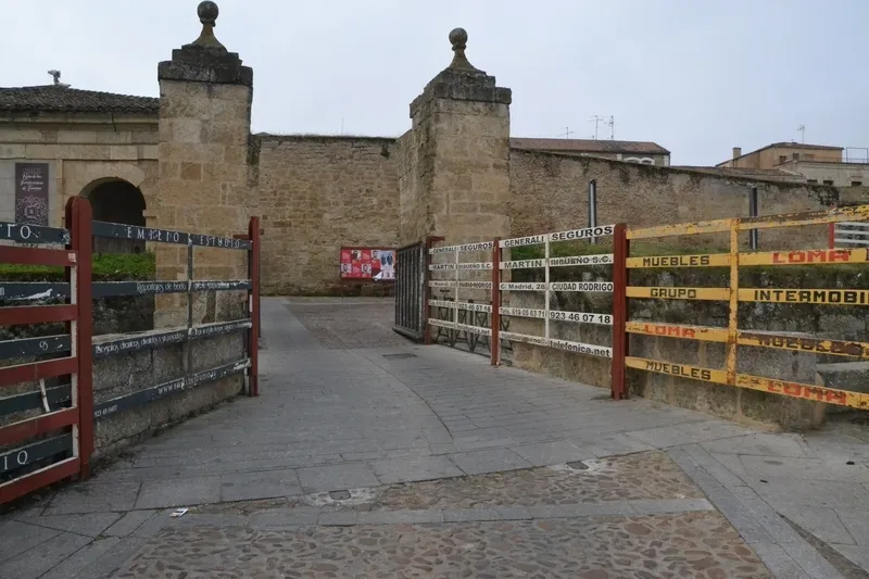Foto 9 - El Registro da la bienvenida a los puentes y gradas carnavaleros