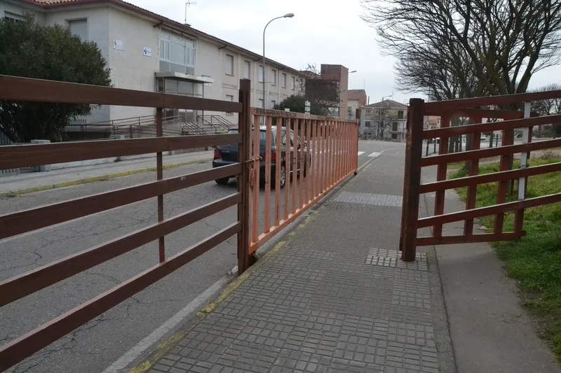 Foto 6 - El Registro da la bienvenida a los puentes y gradas carnavaleros