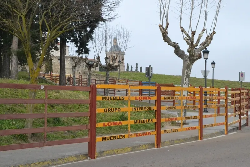 Foto 4 - El Registro da la bienvenida a los puentes y gradas carnavaleros