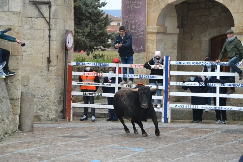 Foto 10 - &lsquo;Precioso&rsquo; deja el primer herido por asta de toro del Carnaval 2022