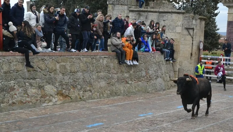 Foto 9 - &lsquo;Precioso&rsquo; deja el primer herido por asta de toro del Carnaval 2022