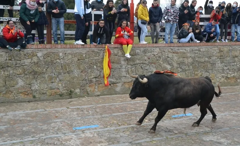 Foto 8 - &lsquo;Precioso&rsquo; deja el primer herido por asta de toro del Carnaval 2022
