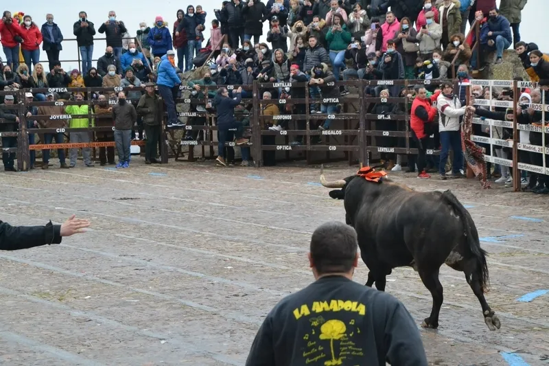 Foto 6 - &lsquo;Precioso&rsquo; deja el primer herido por asta de toro del Carnaval 2022