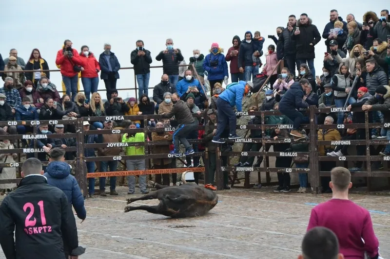 Foto 5 - &lsquo;Precioso&rsquo; deja el primer herido por asta de toro del Carnaval 2022