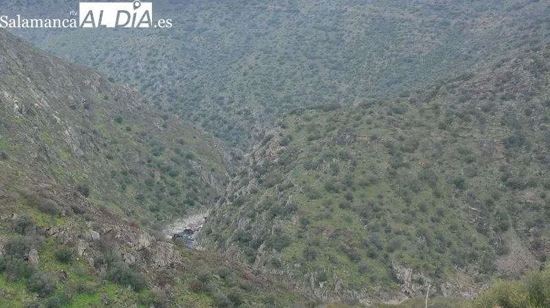La sequía afecta al campo en la provincia de Salamanca