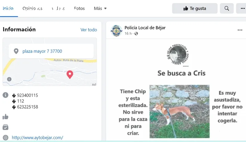 Foto 2 - La Polic&iacute;a Local de B&eacute;jar crea un espacio en redes sociales para la localizaci&oacute;n de mascotas perdidas