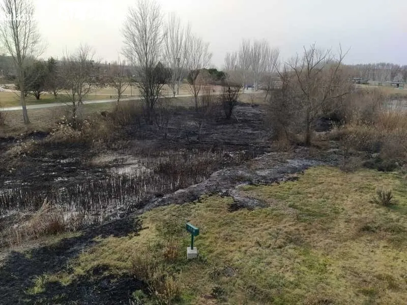 Imágenes de cómo ha quedad la zona tras sofocar las llamas en el entorno del Puente Romano. Fotos: David Sañudo