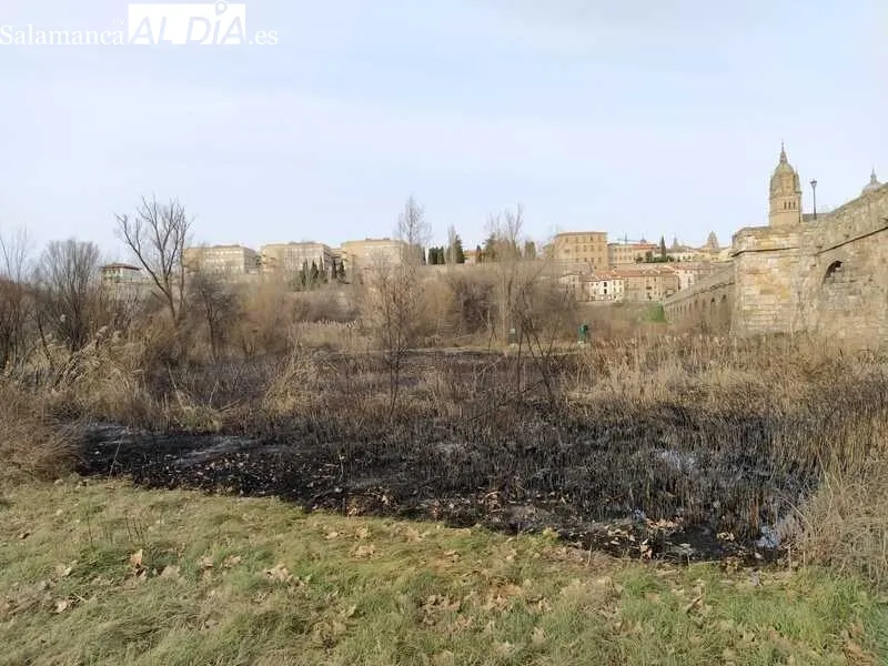 Foto 5 - Los bomberos sofocan un incendio en el entorno del Puente Romano 