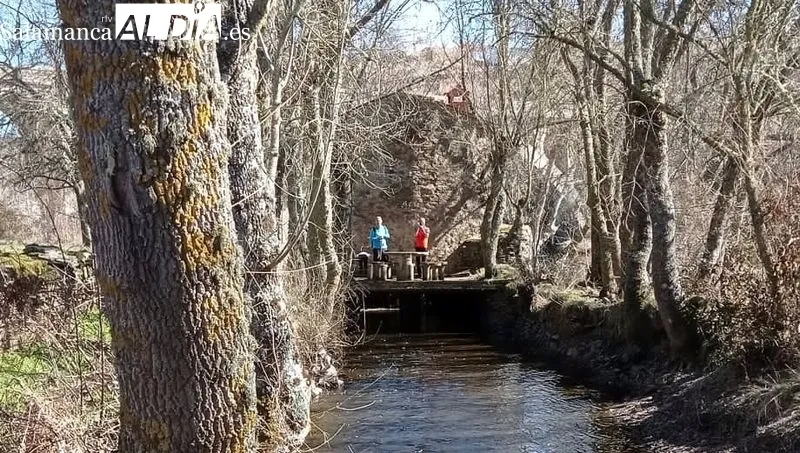 Los senderistas recorrieron una ruta por el río Yeltes y su entorno