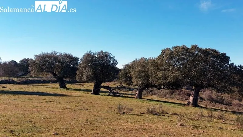 Los senderistas recorrieron una ruta por el río Yeltes y su entorno