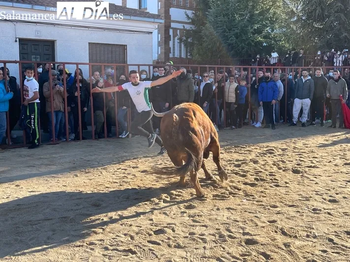 Miles de personas se congregaban en Babilafuente para vivir el Toro de San Blas