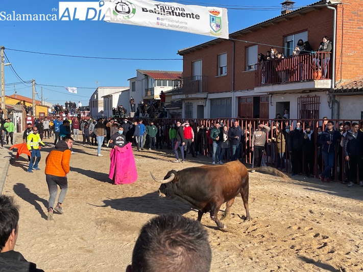 Miles de personas se congregaban en Babilafuente para vivir el Toro de San Blas