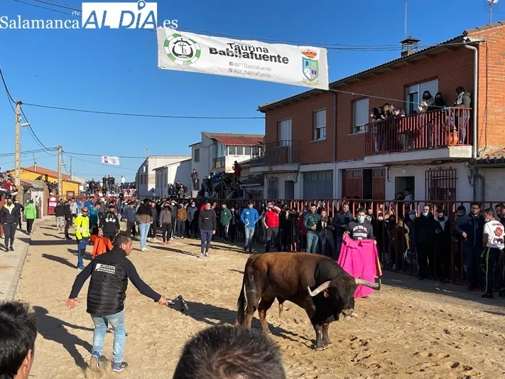 Miles de personas se congregaban en Babilafuente para vivir el Toro de San Blas