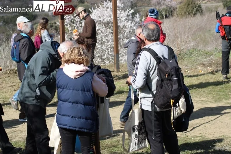 Marcha de senderismo 'Almendros en Flor' en La Fregeneda / CORRAL