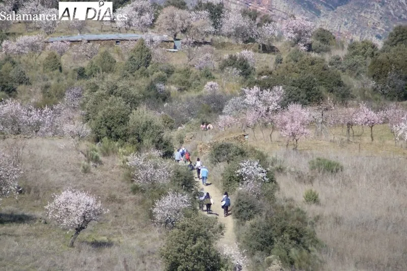 Marcha de senderismo 'Almendros en Flor' en La Fregeneda / CORRAL