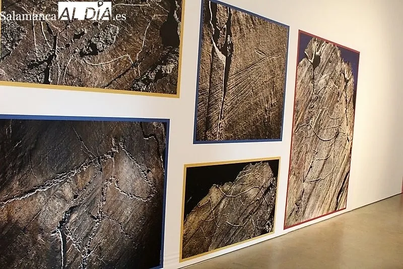 Exposición permanente en el Museo del Côa| MARTÍN-GARAY