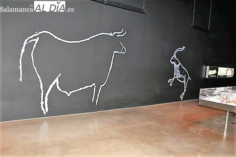 Exposición permanente en el Museo del Côa| MARTÍN-GAAY